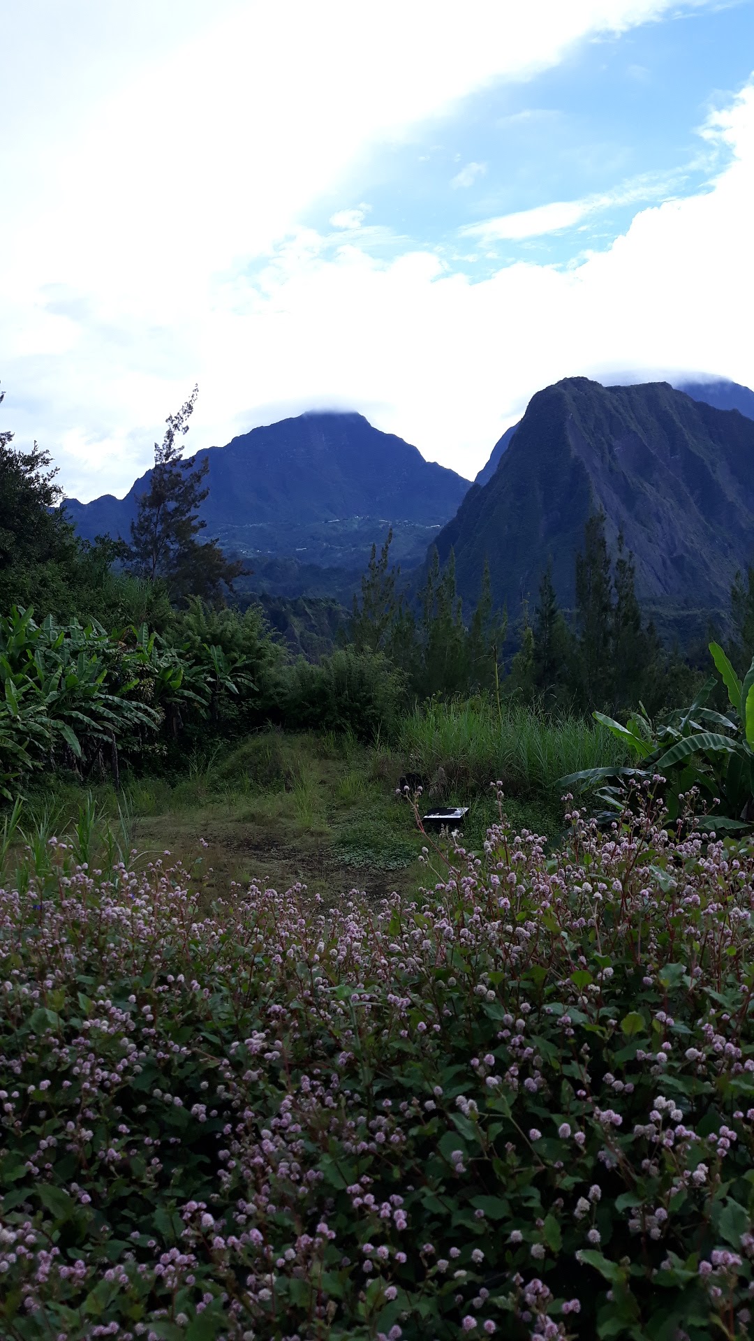 Point de vue Salazie - 3