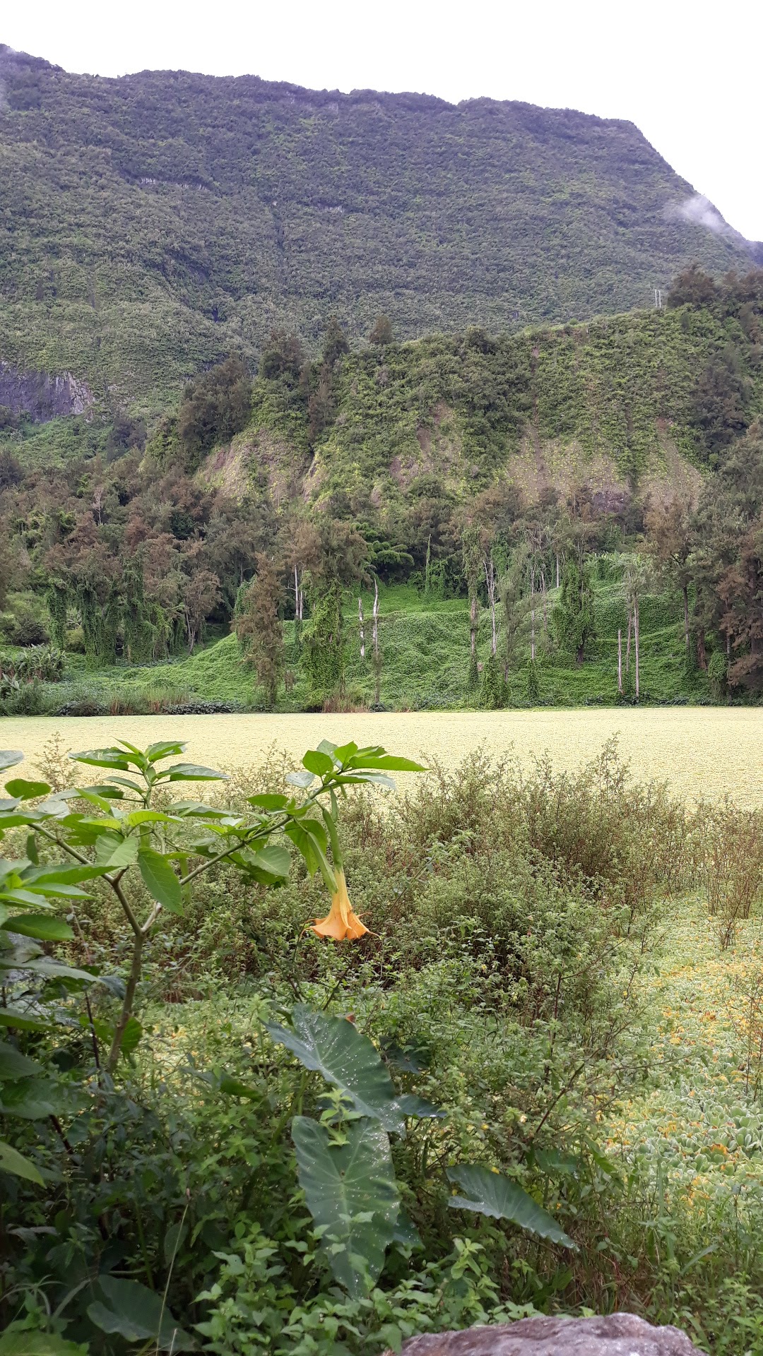 Point de vue Salazie - 4